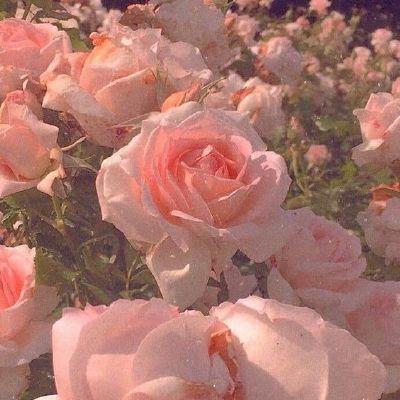 Sunset Hues: Amber Twilight Floral Mosaic